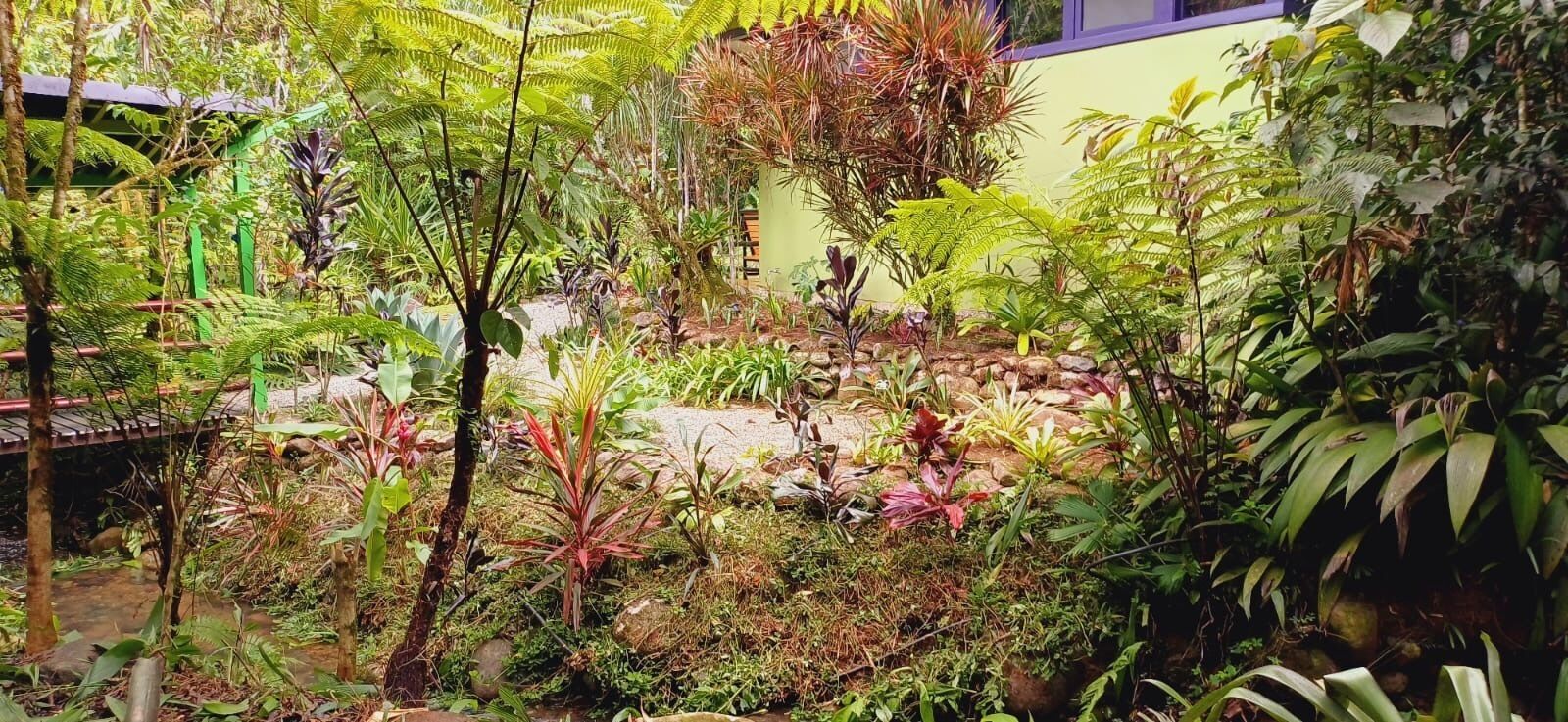 A lush garden with various plants and a small bridge.