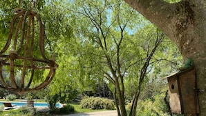 Un jardin avec une piscine, une mangeoire à oiseaux en bois et une suspension lumineuse.