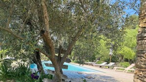 Un espace piscine doté d’une terrasse en bois, de chaises longues et d’un arbre.