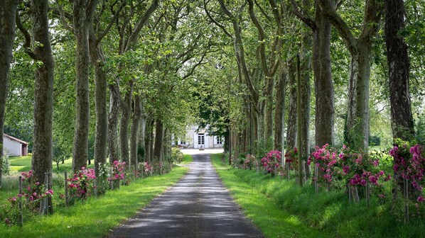 Property grounds - Privatiser un Domaine Avec Piscine Chauffée (Eygurande-et-Gardedeuil)
