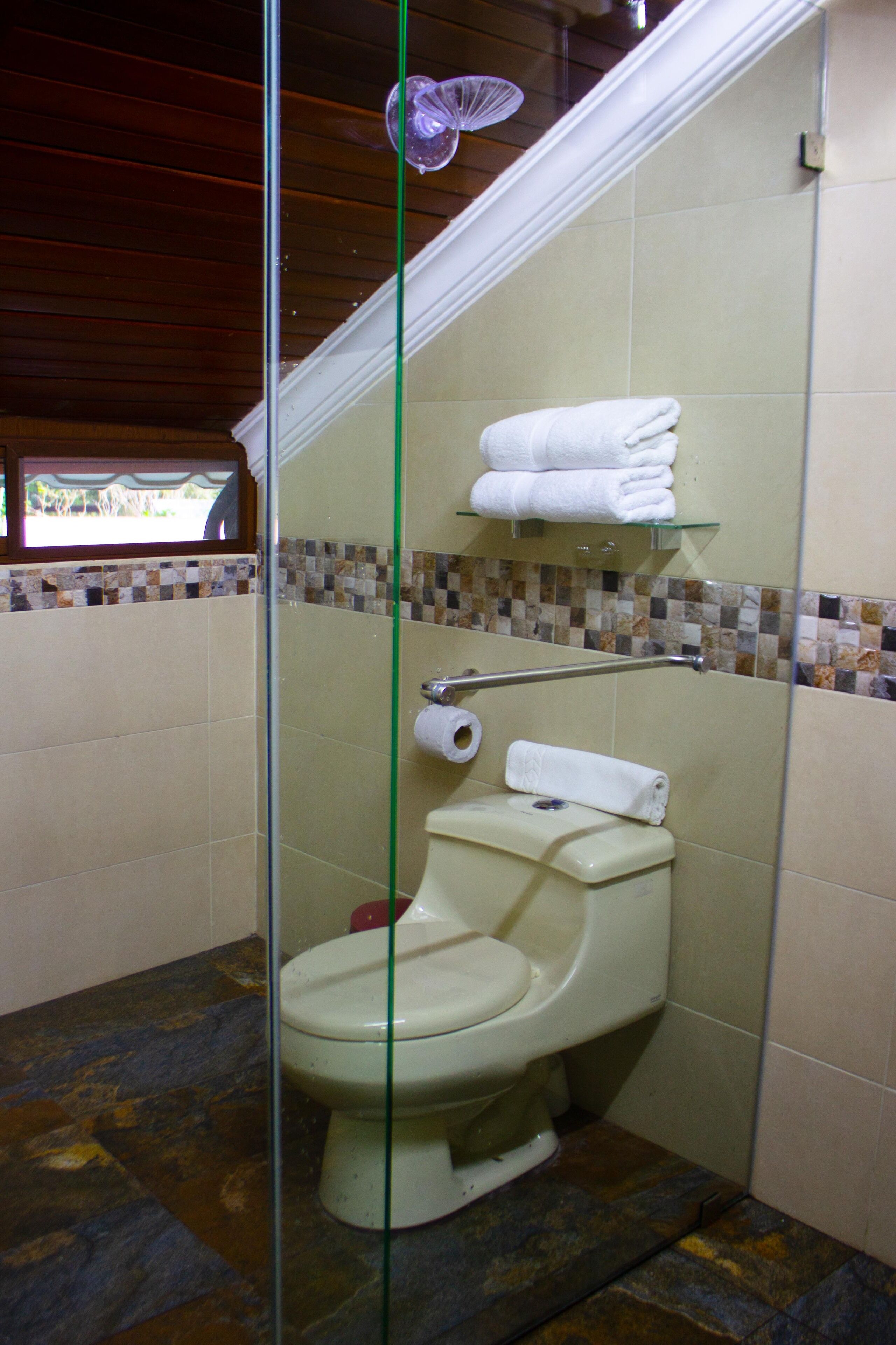 A bathroom with a toilet, a glass shower enclosure, a towel rack with folded towels, and a toilet paper holder.