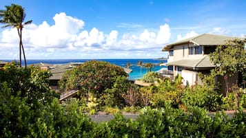 A coastal property with a swimming pool, lush greenery, and a view of the ocean.