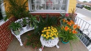 Property grounds - Sea Chest Motel  (Wildwood Crest)