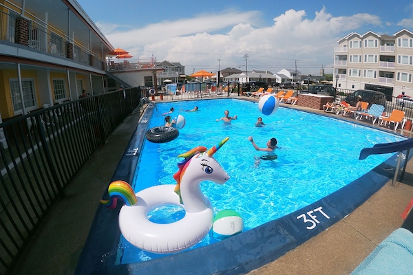 Seasonal outdoor pool, sun loungers