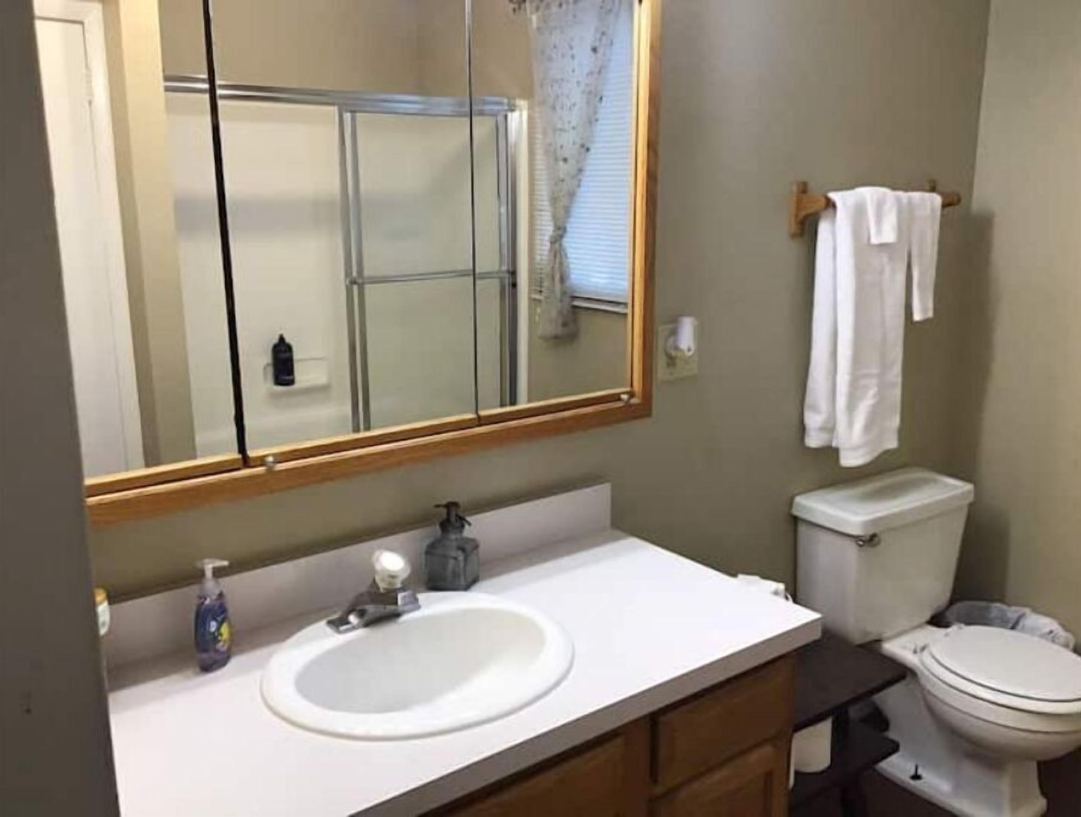 Hair dryer, towels, soap, shampoo