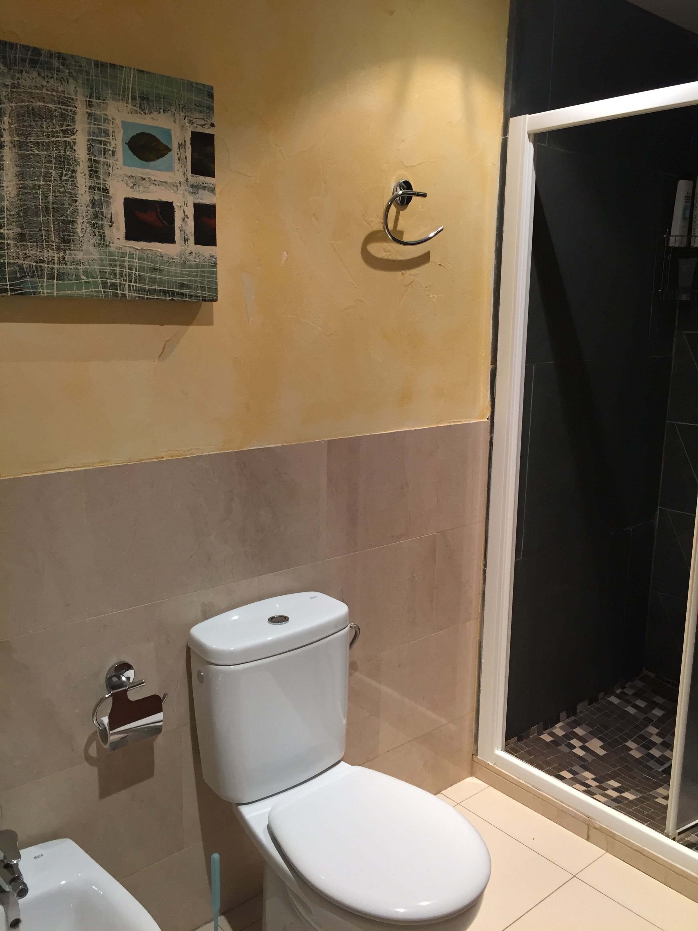 A bathroom with a toilet, bidet, and shower.