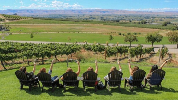 A group of people seated on lawn chairs facing a vineyard. - Off-Broadway • Boho Modern 3BR • King Suite • Huge Yard + Treehouse • Near River & Downtown (Boise)