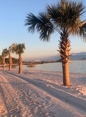 Toallas de playa 