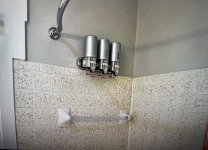 Haartrockner, Handtücher, Seife, Shampoo