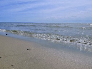 En la playa, camastros y toallas de playa 
