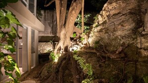 A tree with roots extending into a stone pathway, surrounded by greenery. - Caseiba Peaceful Stays 2 (Mérida)