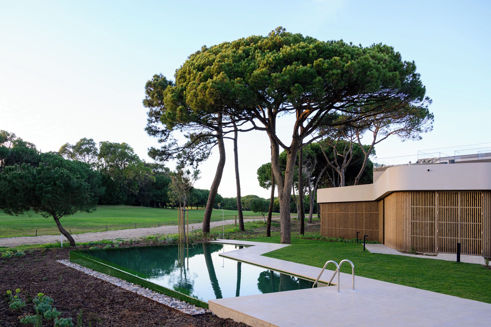 A modern outdoor pool area with a wooden fence, a concrete pathway, and a large tree.