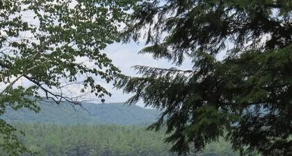 Cozy camp directly on the lake with stunning views!