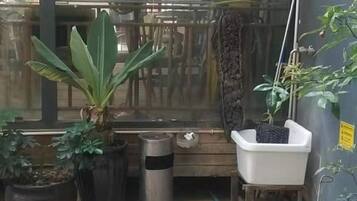 Una habitación con un banco de madera, plantas en macetas, una planta colgante y un cubo de metal.