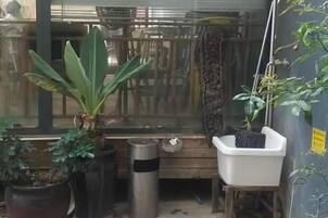 Una habitación con un banco de madera, plantas en macetas, una planta colgante y un cubo de metal.