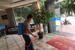 Un vestíbulo de hotel con una recepción, una planta grande en maceta y una alfombra roja.