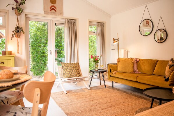 Smart TV, DVD player, books