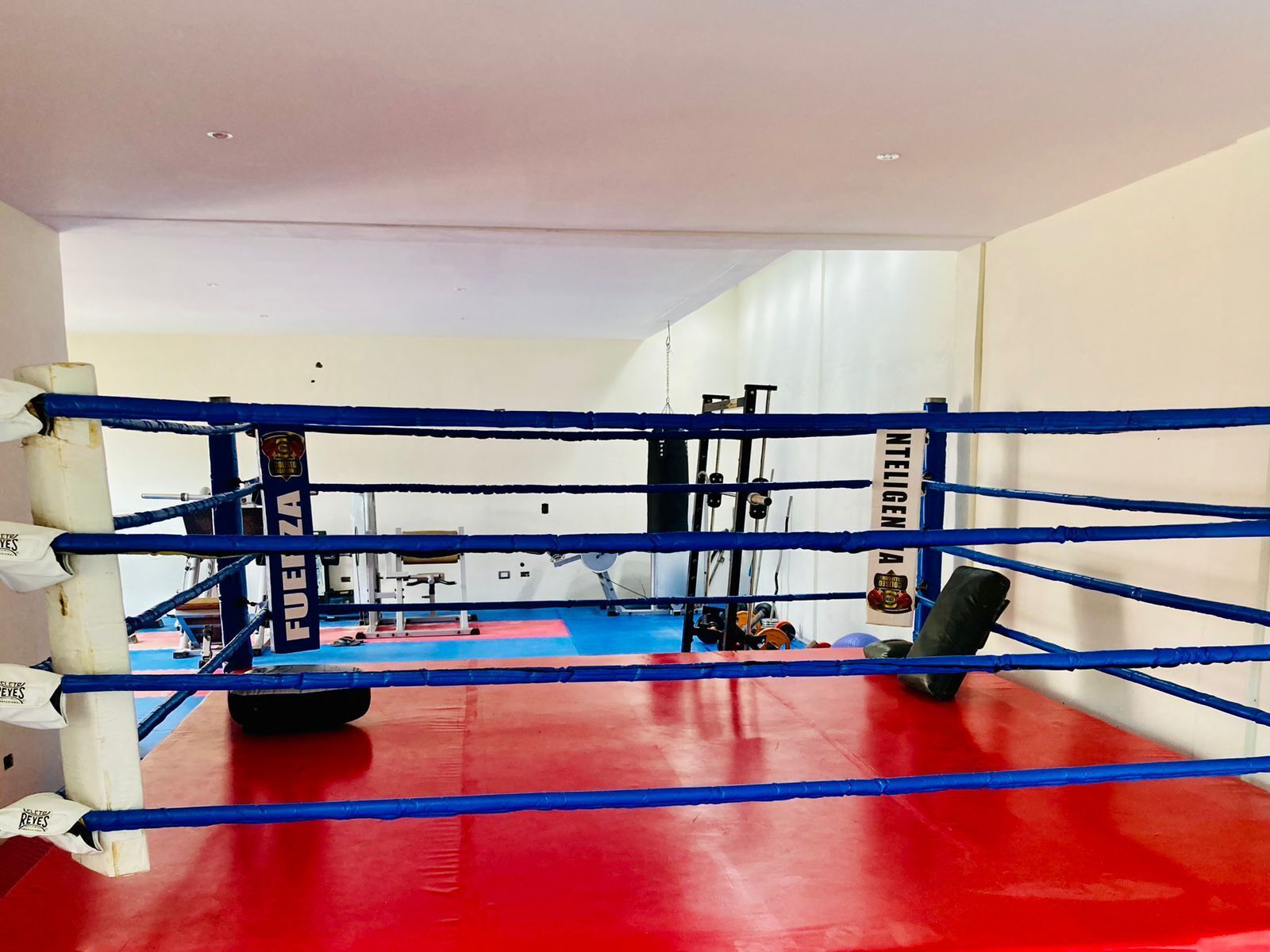 Photo - Jack and Jill Room