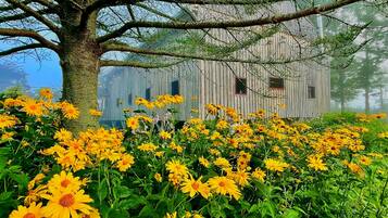 Enceinte de lâhĂ©bergement