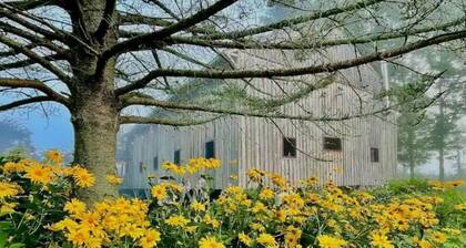 Cozy Cabin at Farm Bed and Breakfast in Maine
