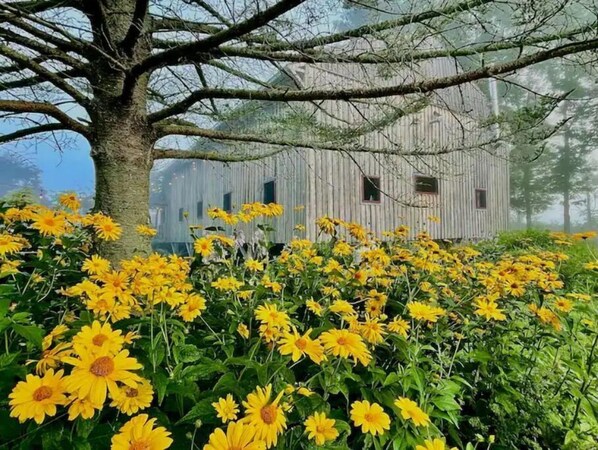 Terrain de l’hébergement 