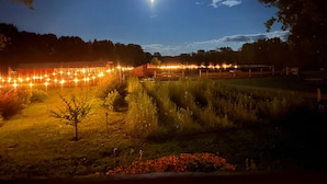 Paesaggio notturno con una stella luminosa nel cielo, campi illuminati e un recinto.