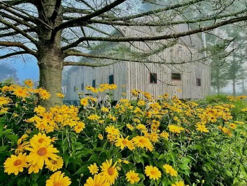 Cozy Glamping at Farm Bed and Breakfast in Maine