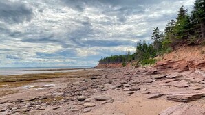 A rocky beach with a forested cliff and overcast sky.