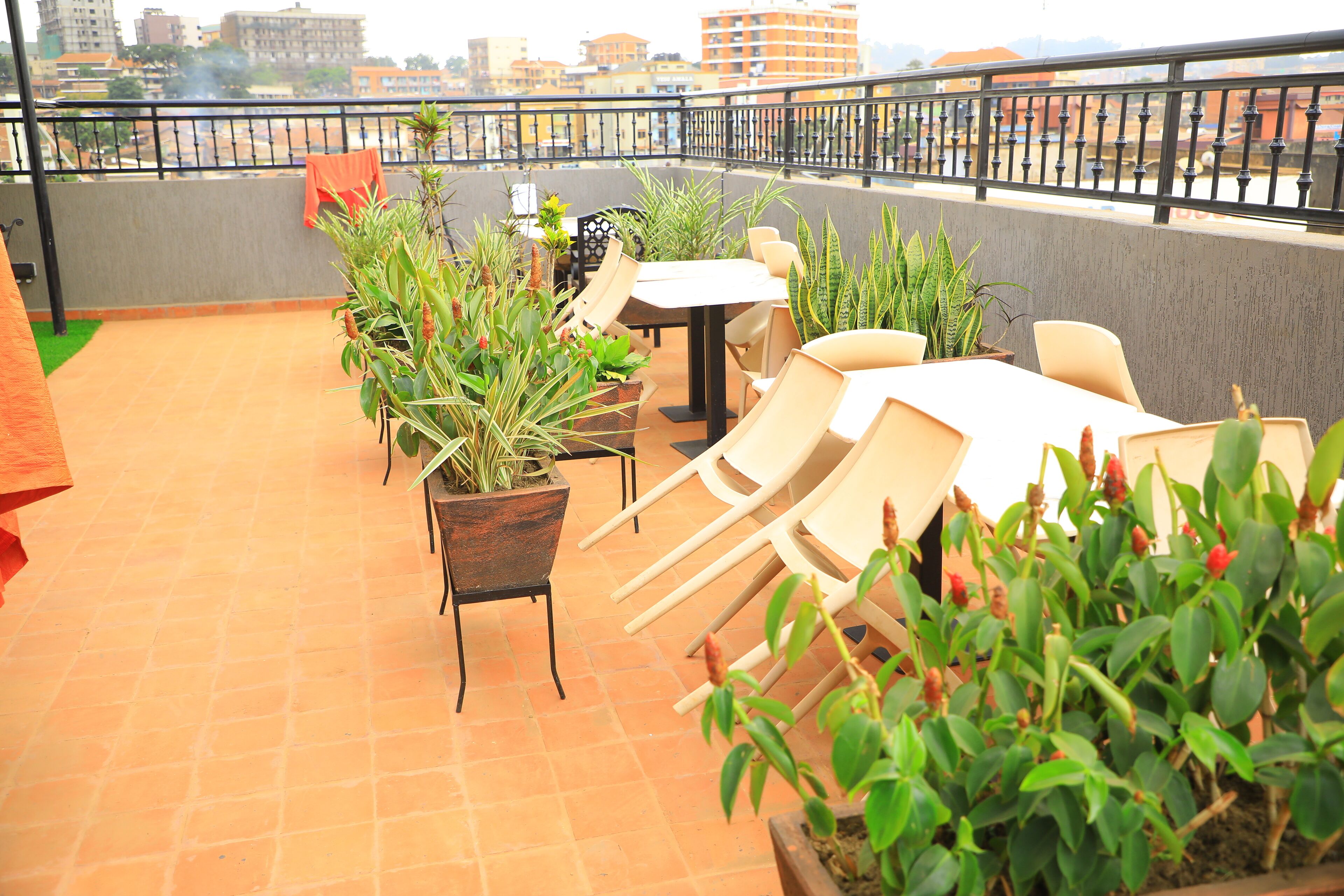 Une terrasse sur le toit, aménagée avec un espace repas, des plantes en pot et offrant une vue sur le paysage urbain.