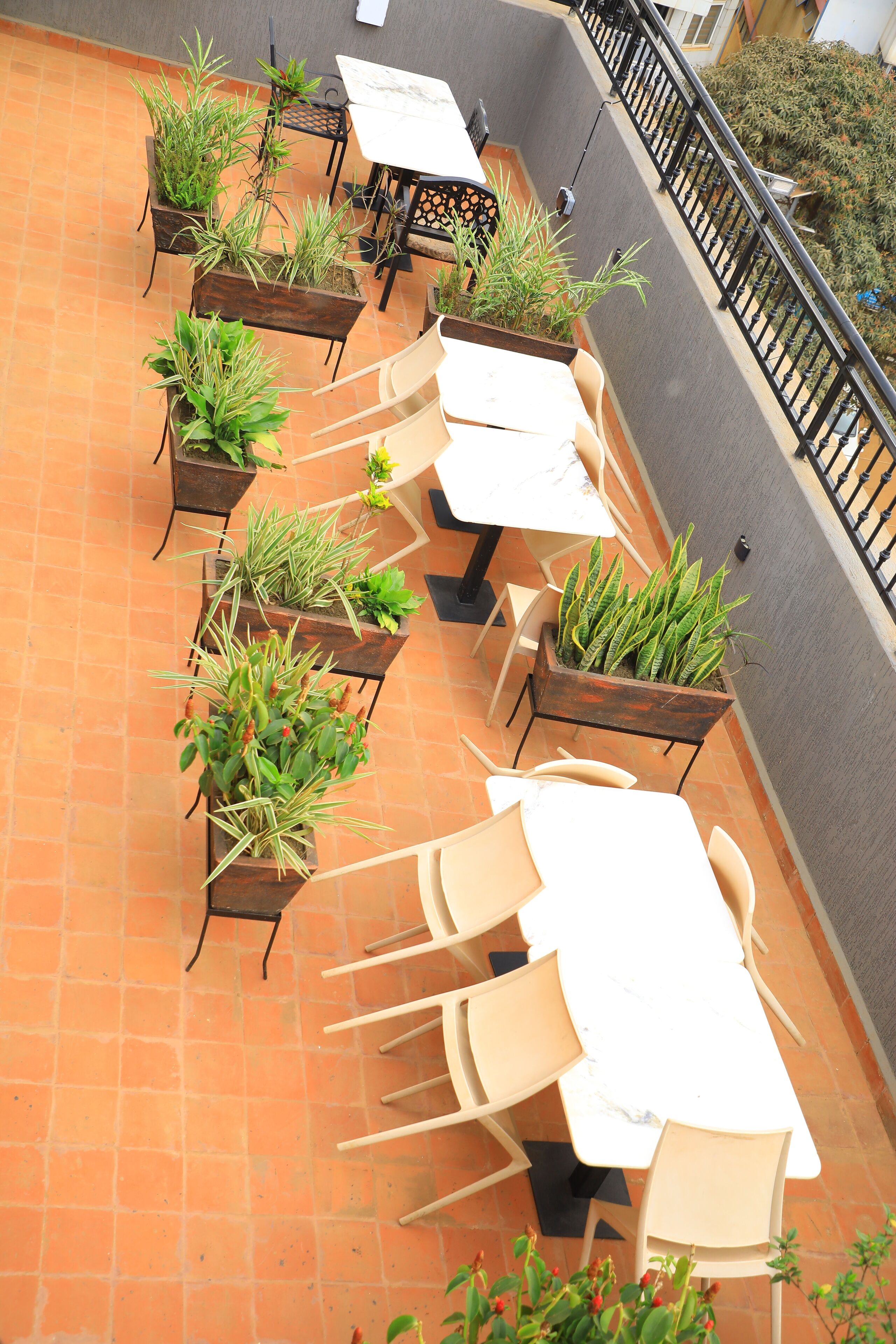 Une terrasse extérieure dotée de plusieurs tables et chaises, entourée de plantes en pot.