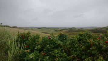 Paisagem natural com colinas ondulantes e um campo de vegetação verde.
