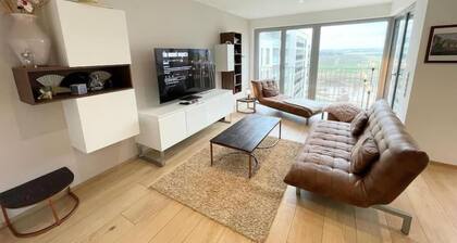 3 bedrooms in Gasperich Terrace&Parking