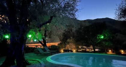 Idyllic country villa with 10m pool and seaview (max 16 people)