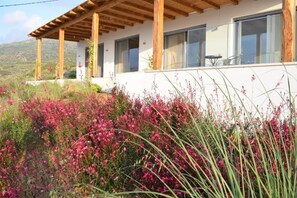 Exterior - Villa 88 in Tourloti (Mochlos)