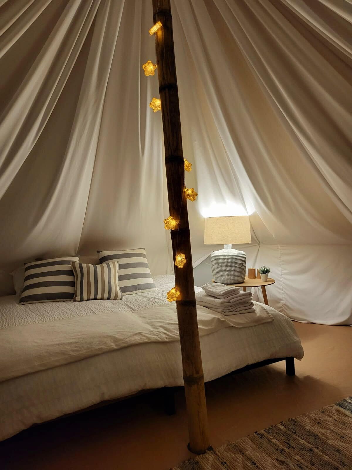 A tented room with a bed, pillows, a lamp, and a small table with a plant.