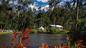 A lakeside cabin surrounded by dense forest, with a small dock extending into the water. - Palumbo Glamping & Villas (Cangahua)