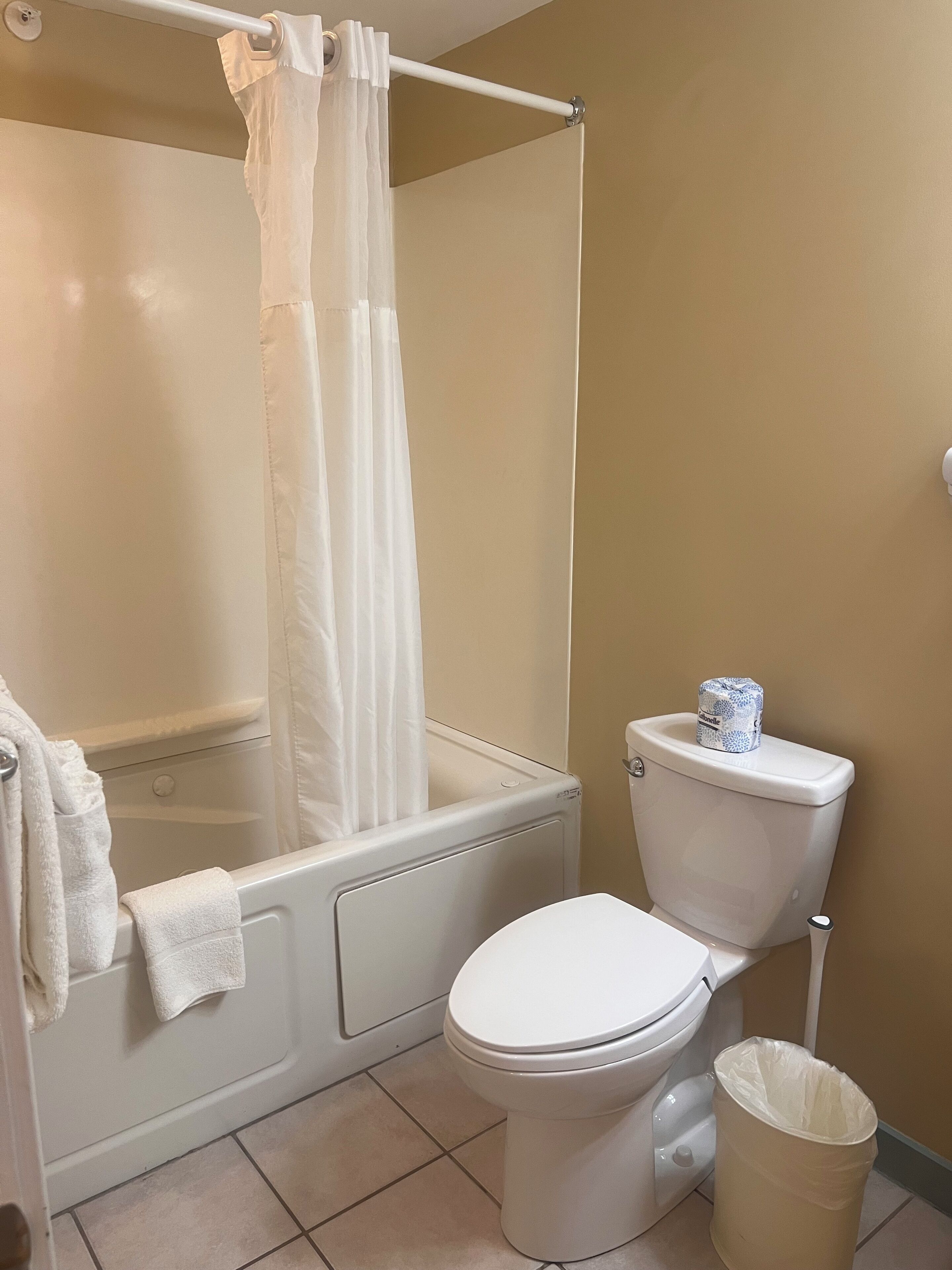 Ein Badezimmer mit Badewanne, Toilette und Mülleimer.