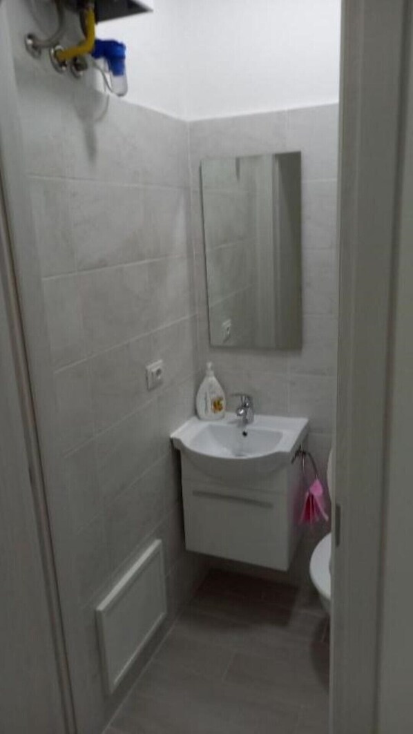 Shower, hair dryer, bidet, towels