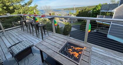 Elevated Ocean view of Harbor, walk to village, pet friendly, deck, wifi and AC.