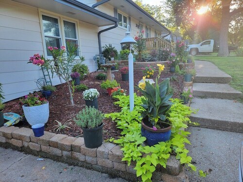 EV Charging BirdHouse