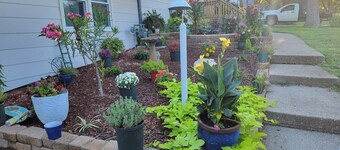 EV Charging BirdHouse