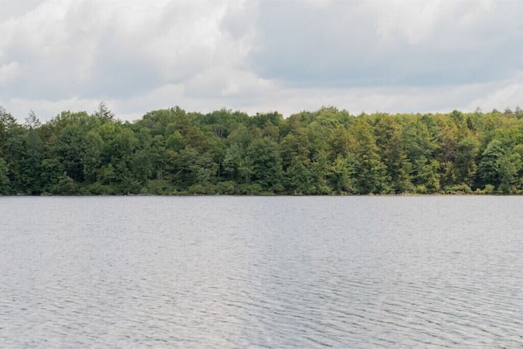 A calm lake with a dense forest in the background.