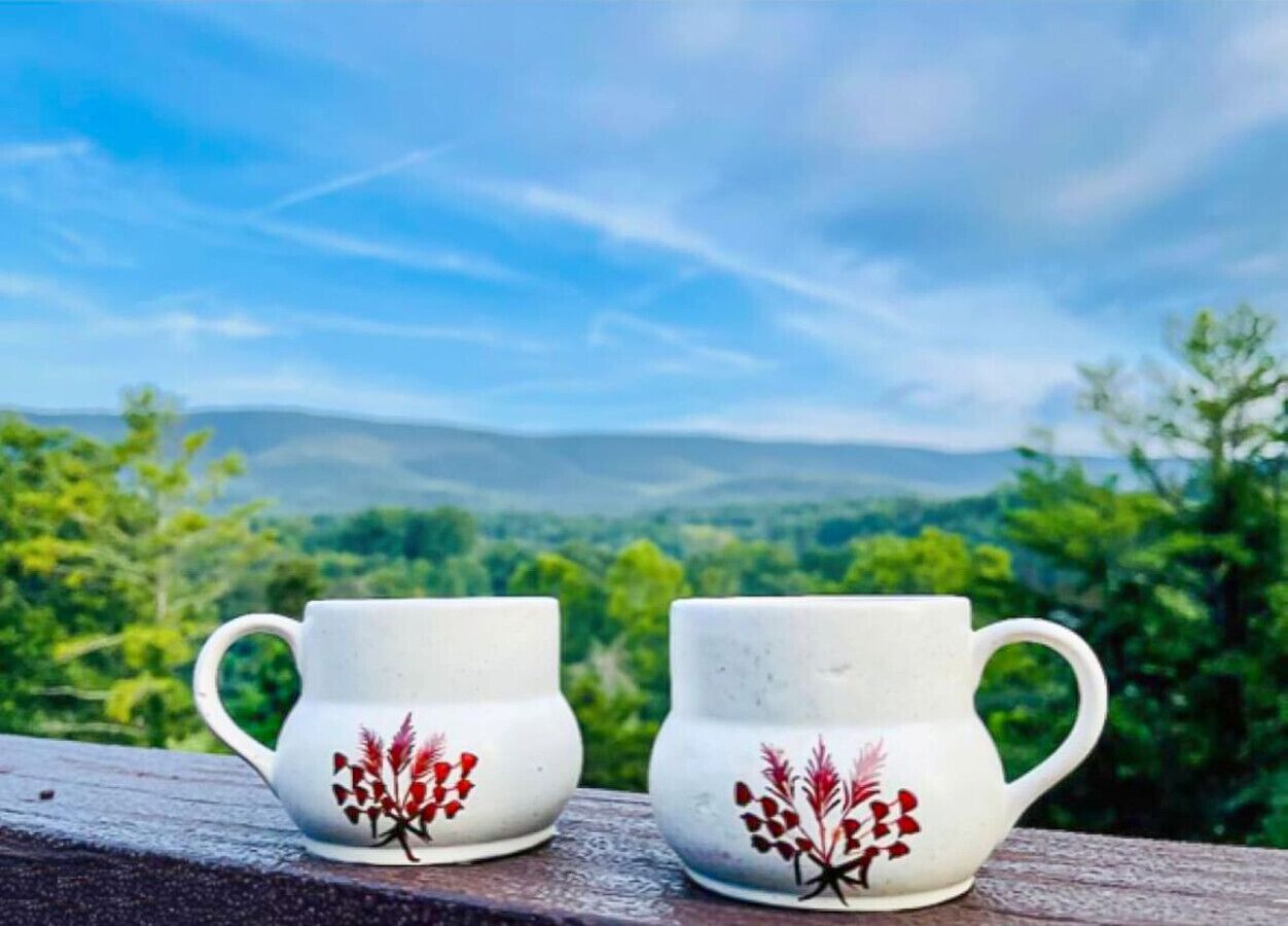 Dog Friendly 3BR/2BA with Loft and Mountain Views
