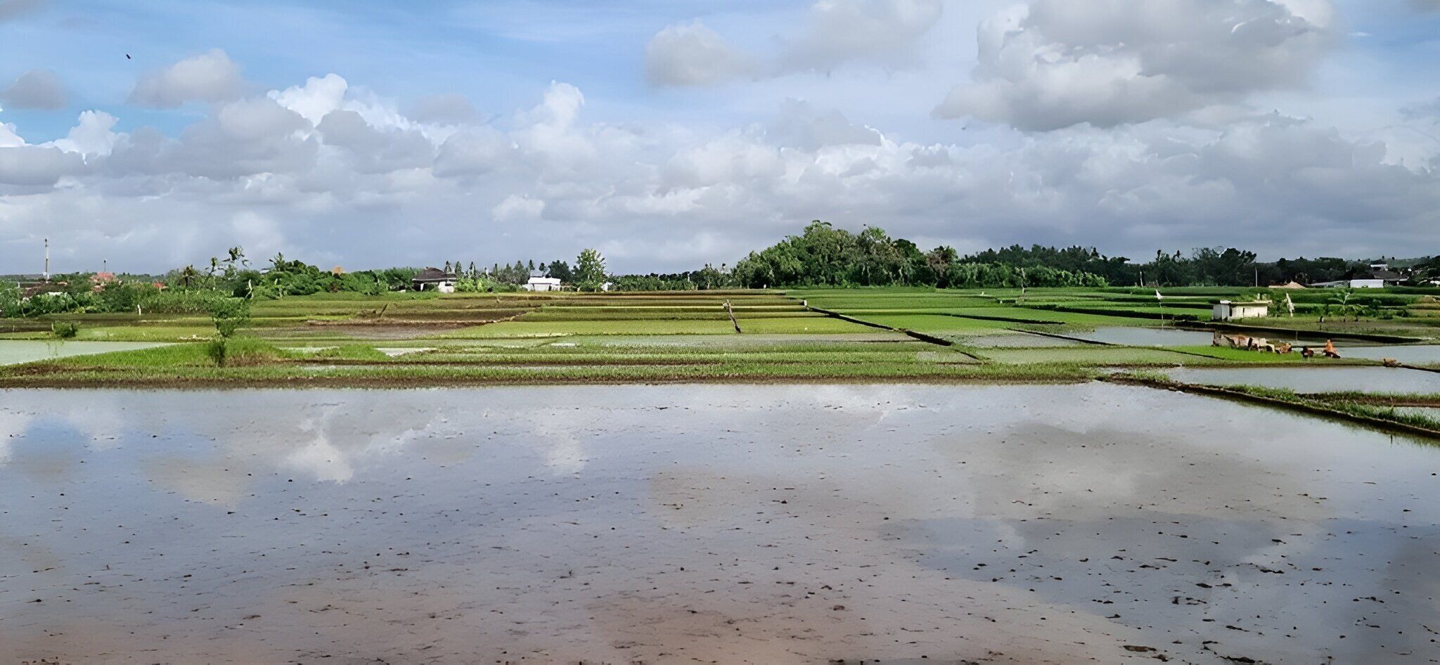 Foto - Hotel Arda Bali