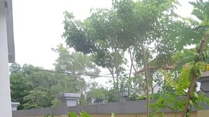 A garden with various plants and a concrete planter. - Hotel Arda Bali (Negara)