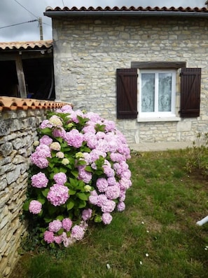 Detalhe da fachada