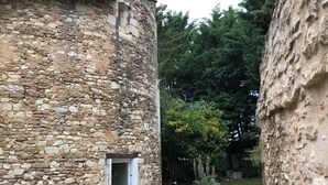 Property grounds - La Tour du Logis - Saint-martin-la-pallu (SAINT-MARTIN-LA-PALLU)