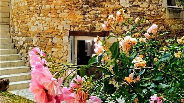 Exterior - La Tour du Logis - Saint-martin-la-pallu (SAINT-MARTIN-LA-PALLU)