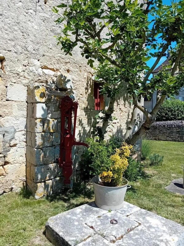 A stone building with a red door and a potted plant with yellow flowers.
