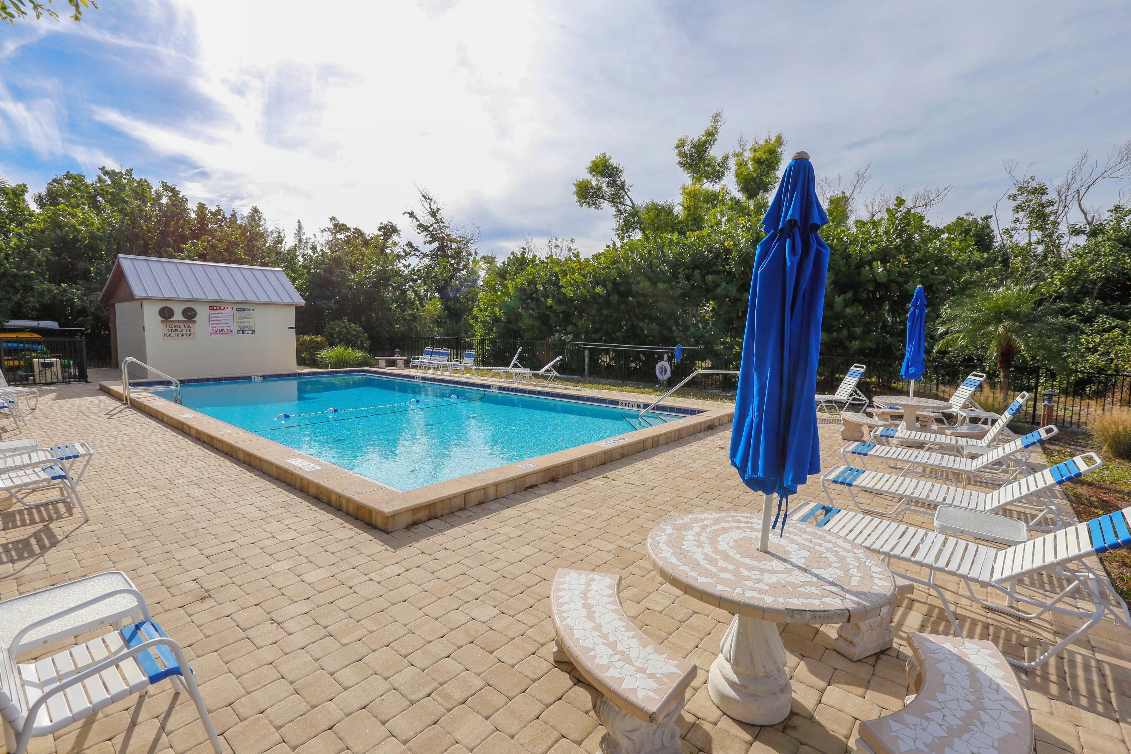 A swimming pool with lounge chairs and umbrellas, surrounded by trees and a small building with a metal roof.